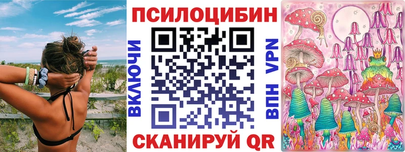 Псилоцибиновые грибы мицелий  где купить наркотик  Беломорск 